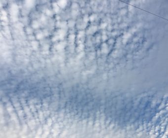 笹塚・調布入門レッスン♪